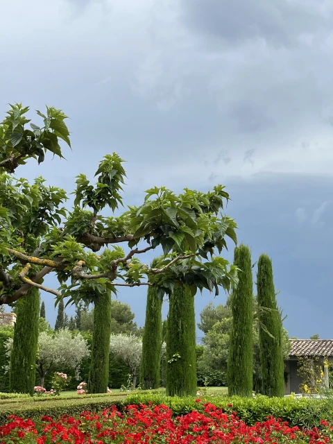 Mas Calandal, Vakantiehuis, Provence, people: 10