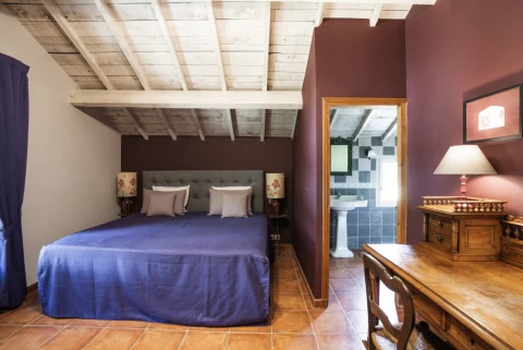 Maison de vacances en Provence pour 20 personnes - Mas Christie