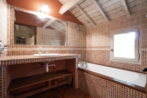 Maison de vacances en Provence pour 20 personnes - Mas Christie