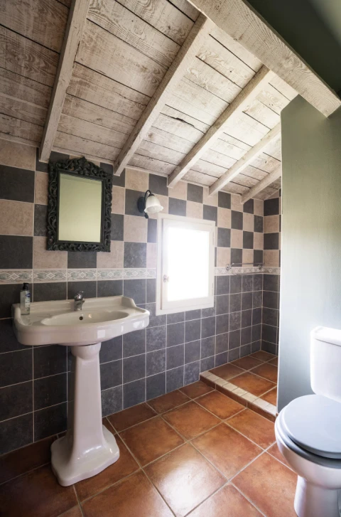 Maison de vacances en Provence pour 20 personnes - Mas Christie