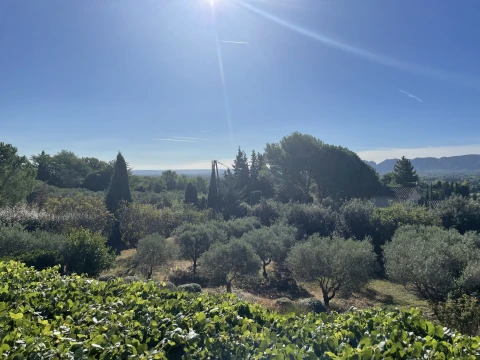 Mas de Lavande, Vakantiehuis, Provence, people: 8