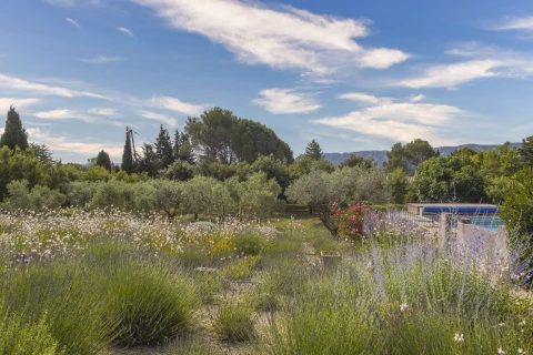 Mas de Lavande, Vakantiehuis, Provence, people: 8