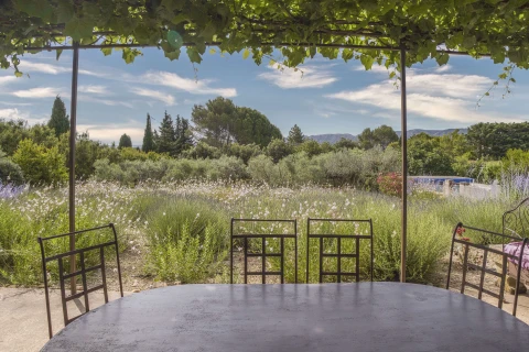 Mas de Lavande, Vakantiehuis, Provence, people: 8