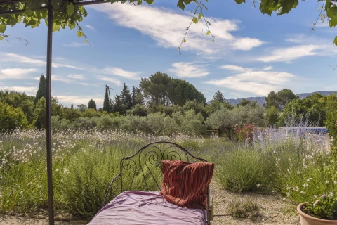 Mas de Lavande, Vakantiehuis, Provence, people: 8