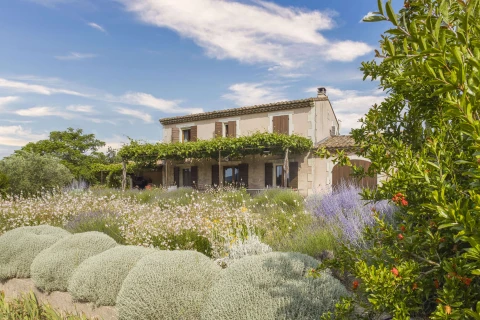 Mas de Lavande, Vakantiehuis, Provence, people: 8