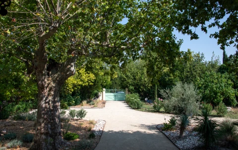 Vakantiehuis in Provence voor 10 personen - Mas de Verquieres