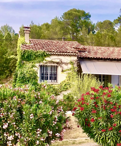 Mas du Murier, Vakantiehuis, Provence, people: 10