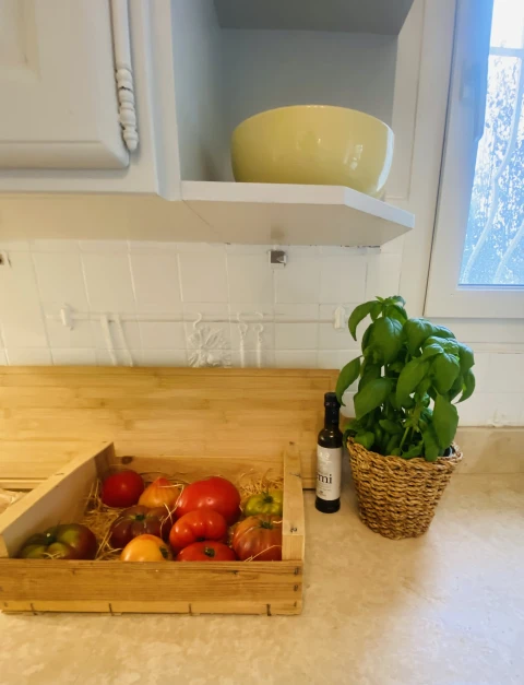 Vakantiehuis in Provence voor 7 personen - Mas du Paty