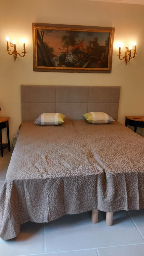 Holiday home in Provence for 10 people - Mas du Sequier