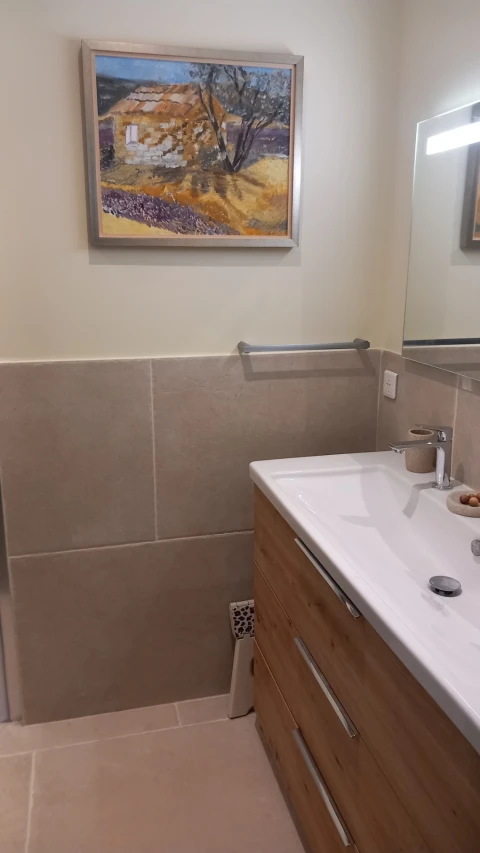 Holiday home in Provence for 10 people - Mas du Sequier