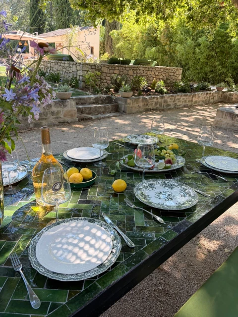 Vakantiehuis in Provence voor 12 personen - Mas Eden