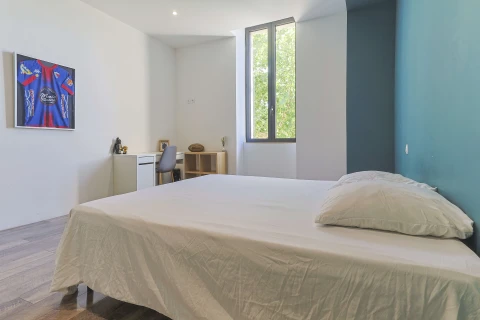 Mas en Provence, Vakantiehuis, Provence, people: 10