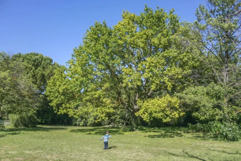 Mas Jullian, Vakantiehuis, Provence, people: 12