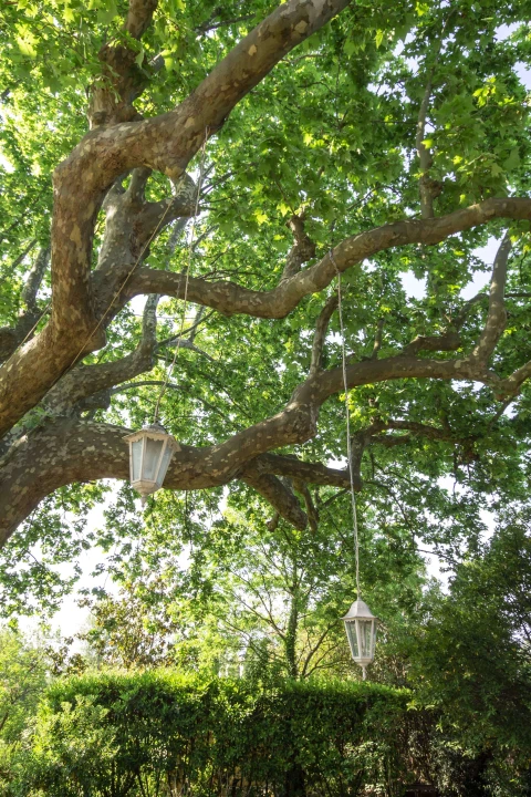 Mas Jullian, Vakantiehuis, Provence, people: 12