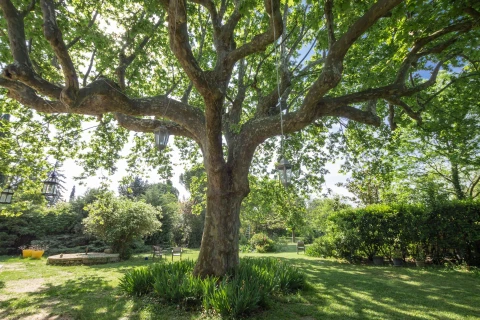 Mas Jullian, Vakantiehuis, Provence, people: 12