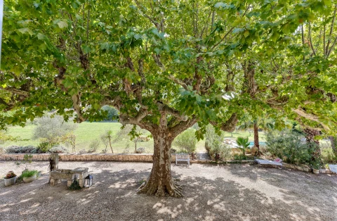 Mas Mayoli, Vakantiehuis, Provence, people: 14