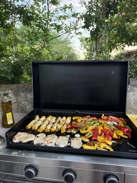 Mas Ronquet, Vakantiehuis, Languedoc-Roussillon, people: 9