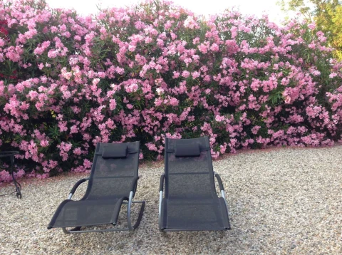 Oiseau du Sud, Vakantiehuis, Midi-Pyrénées, people: 6