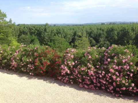 Oiseau du Sud, Vakantiehuis, Midi-Pyrénées, people: 6