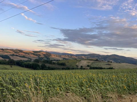 Ferienhaus in Le Marche für 16 Personen - Palazzo di Arcevia