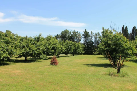 Petite Camargue, Vakantiehuis, Provence, people: 5