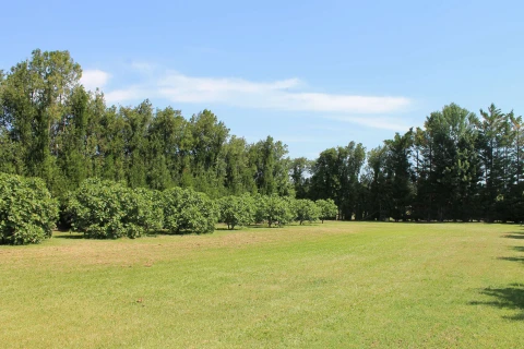 Petite Camargue, Vakantiehuis, Provence, people: 5