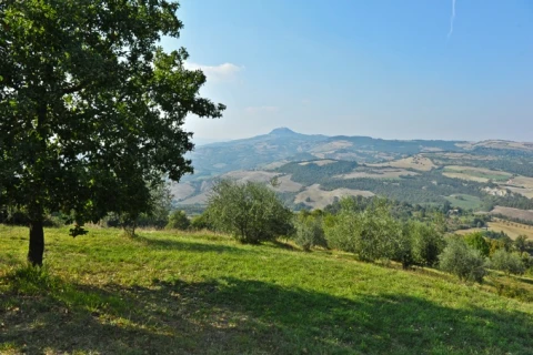 Podere Bellavista, vakantiehuisVilla, Toscane, people: 4