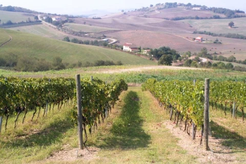 Podere Elvella (Cinghiale), vakantiehuisVilla, Toscane, people: 6