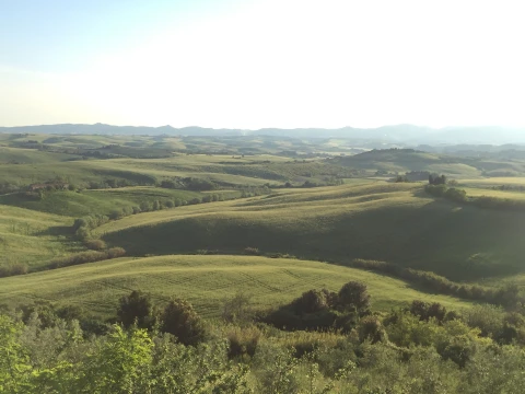 Podere Madonna dei Monti, Vakantiehuis, Toscane, people: 12