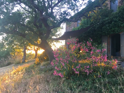 Podere Maremma Toscana, Vakantiehuis, Toscane, people: 11