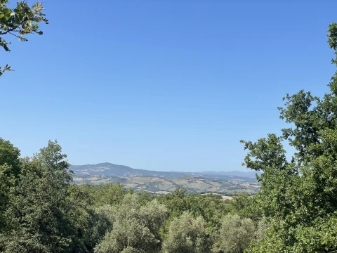 Vakantiehuis in Toscane voor 11 personen - Podere Maremma Toscana