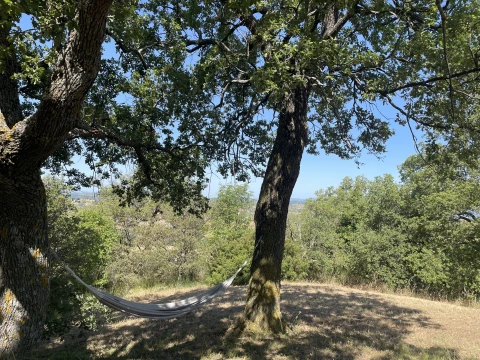 Vakantiehuis in Toscane voor 11 personen - Podere Maremma Toscana
