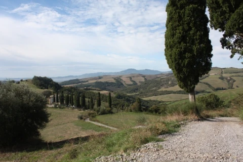 Podere Oliveto, vakantiehuisVilla, Toscane, people: 7