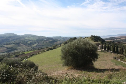 Podere Oliveto, vakantiehuisVilla, Toscane, people: 7