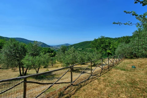 Poggio Conca, Vakantiehuis, Toscane, people: 12