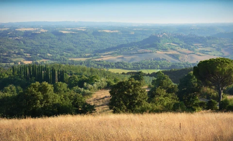 Poggio Palazzo, Vakantiehuis, Toscane, people: 10