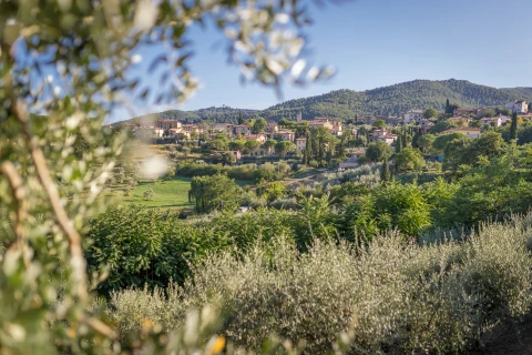 Rey Casa, Vakantiehuis, Toscane, people: 11