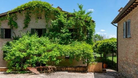 Salvador - La Salvia, Vakantiehuis, Le Marche, people: 6