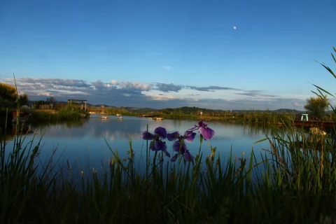 Maison de vacances en Toscane pour 20 personnes - San Paolo Farm