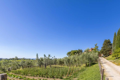 Vakantiehuis in Toscane voor 4 personen - Il Tempo Buono - Sereno
