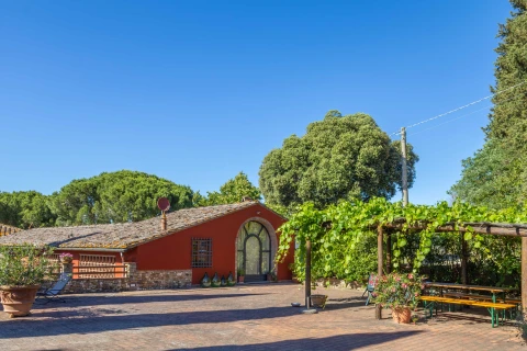 Vakantiehuis in Toscane voor 4 personen - Il Tempo Buono - Sereno