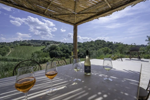 Maison de vacances en Toscane pour 4 personnes - Spirito Carotana