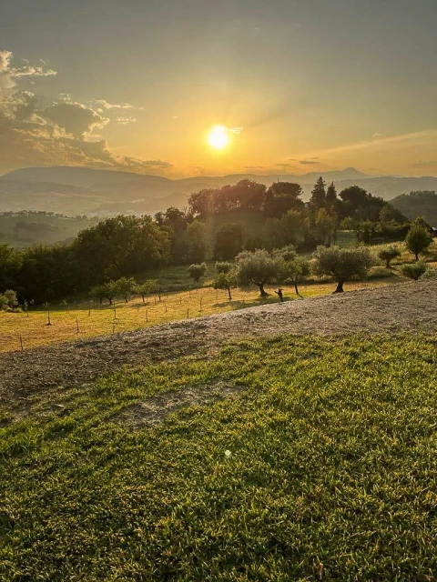 Tenuta Bella Vita, Vakantiehuis, Le Marche, people: 6