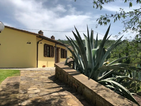 Ulivo, Appartement, Umbrië, people: 4