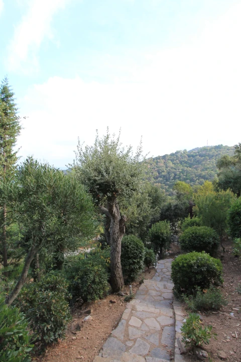 Valanvi, Vakantiehuis, Côte d'azur, people: 6