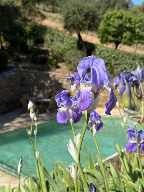 Ferienhaus in Côte d'azur für 6 Personen - Valanvi