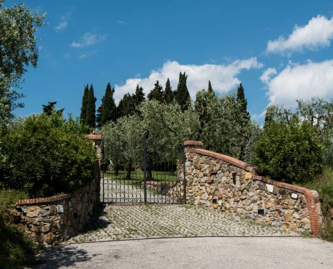 Valdinievole - L'Uliveto, Vakantiehuis, Toscane, people: 4