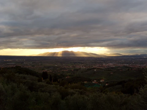 Valdinievole - L'Uliveto, Vakantiehuis, Toscane, people: 4