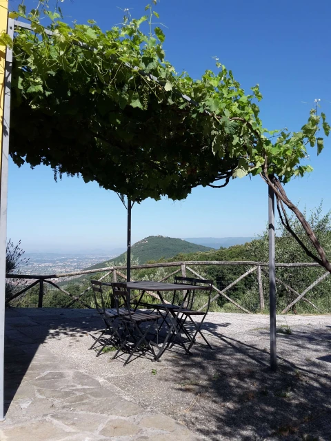 Valdinievole - L'Uliveto, Vakantiehuis, Toscane, people: 4