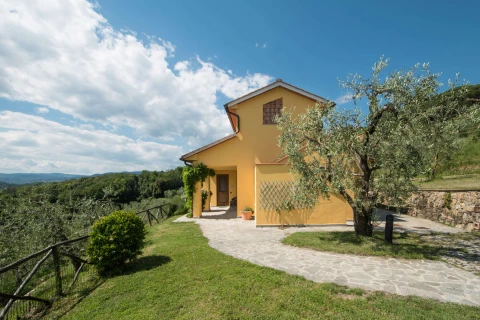 Valdinievole - L'Uliveto, Vakantiehuis, Toscane, people: 4